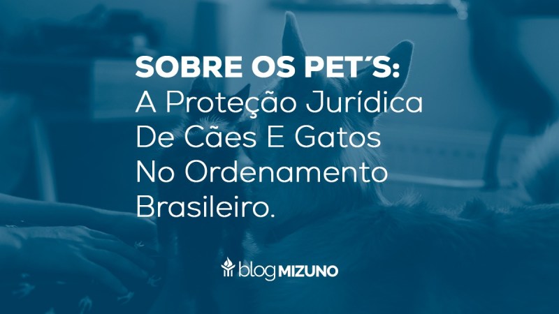 SOBRE OS PET´S: A PROTEÇÃO JURÍDICA DE CÃES E GATOS NO ORDENAMENTO BRASILEIRO.