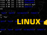 Writing Your First Script In Linux Shell Scripting Eduonix Blog