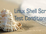 Understanding Test Conditions In Linux Shell Scripting Eduonix Blog