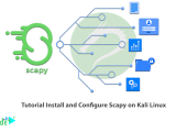 Tutorial Install And Configure Scapy On Kali Linux