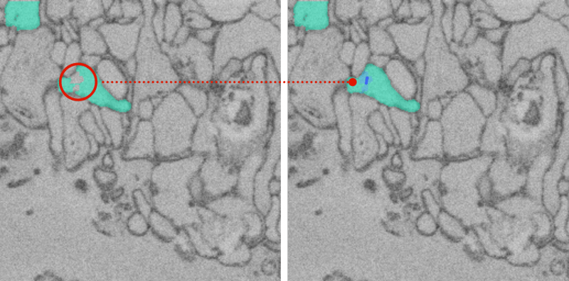 correcting a computer's mistake, Seung Lab