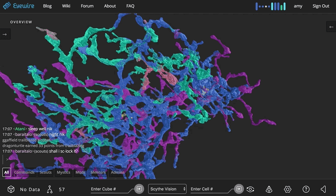 Eyewire, activity tracker, cubes, citizen science, UI, UX, key, color key, accuracy, trailblaze, reap, gif