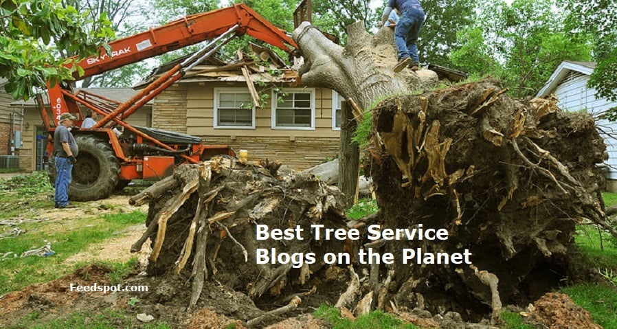 Cleanup From Windstorm Just Getting Started For Utah Tree Removal Companies Youtube