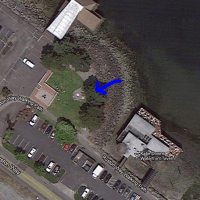 Tidal Pool, Rustin Way