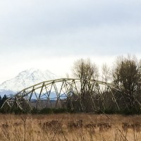 The Puyallup River Bridge needs a home