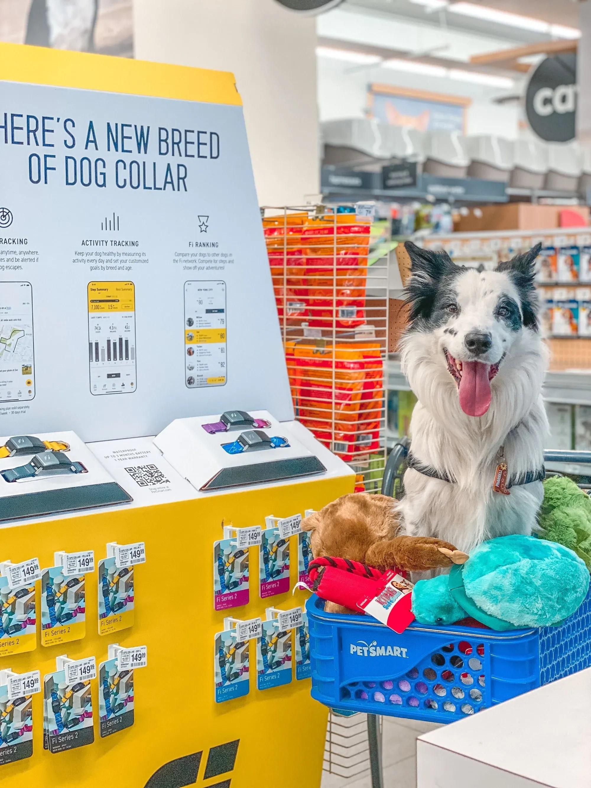 Communiqué de presse : Fi se lance dans le commerce physique avec PetSmart