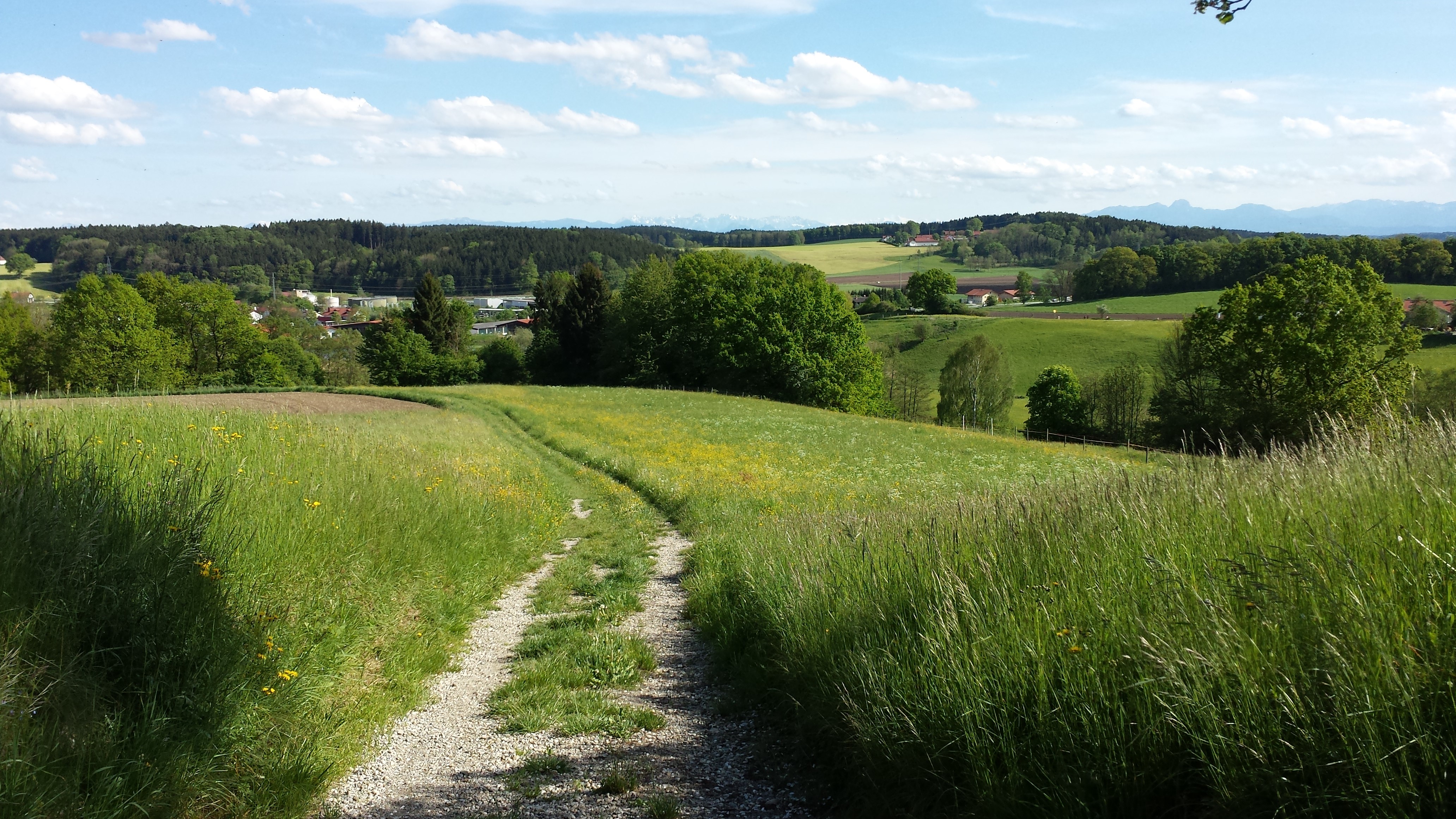 Blick von ebersberg zum Großvenediger