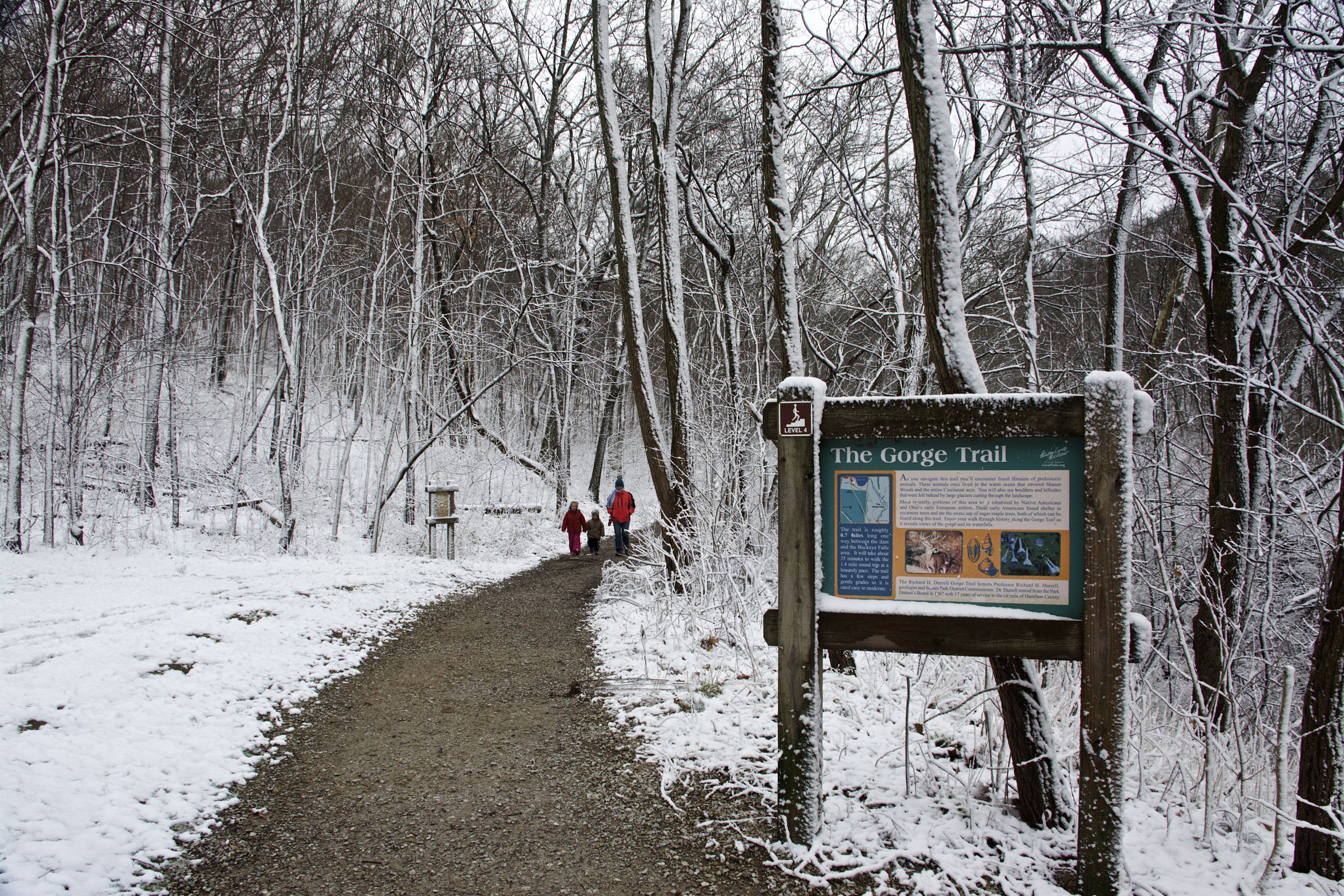 Gorge Trail at Sharon Woods