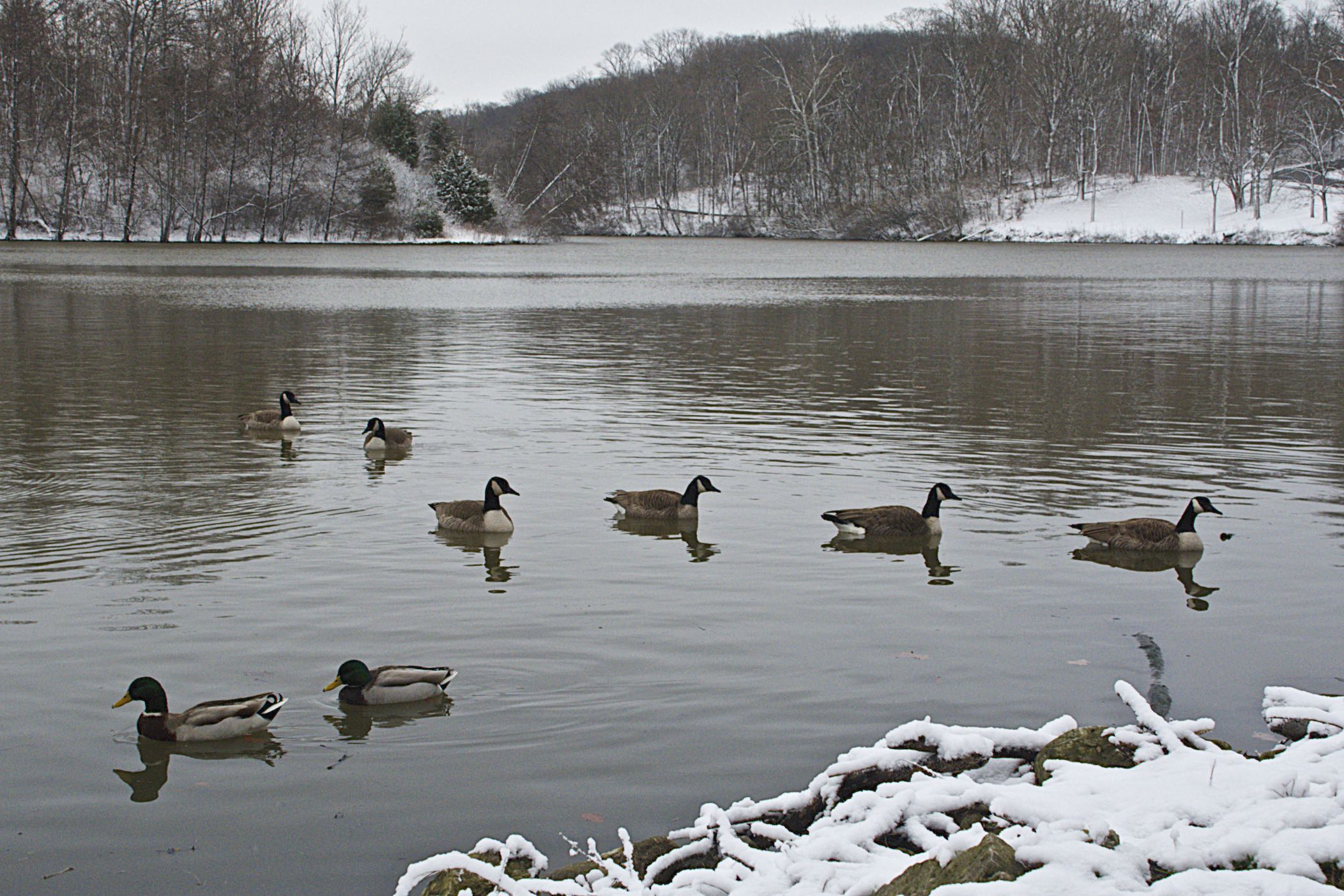 Snow Scene at Sharon Lake