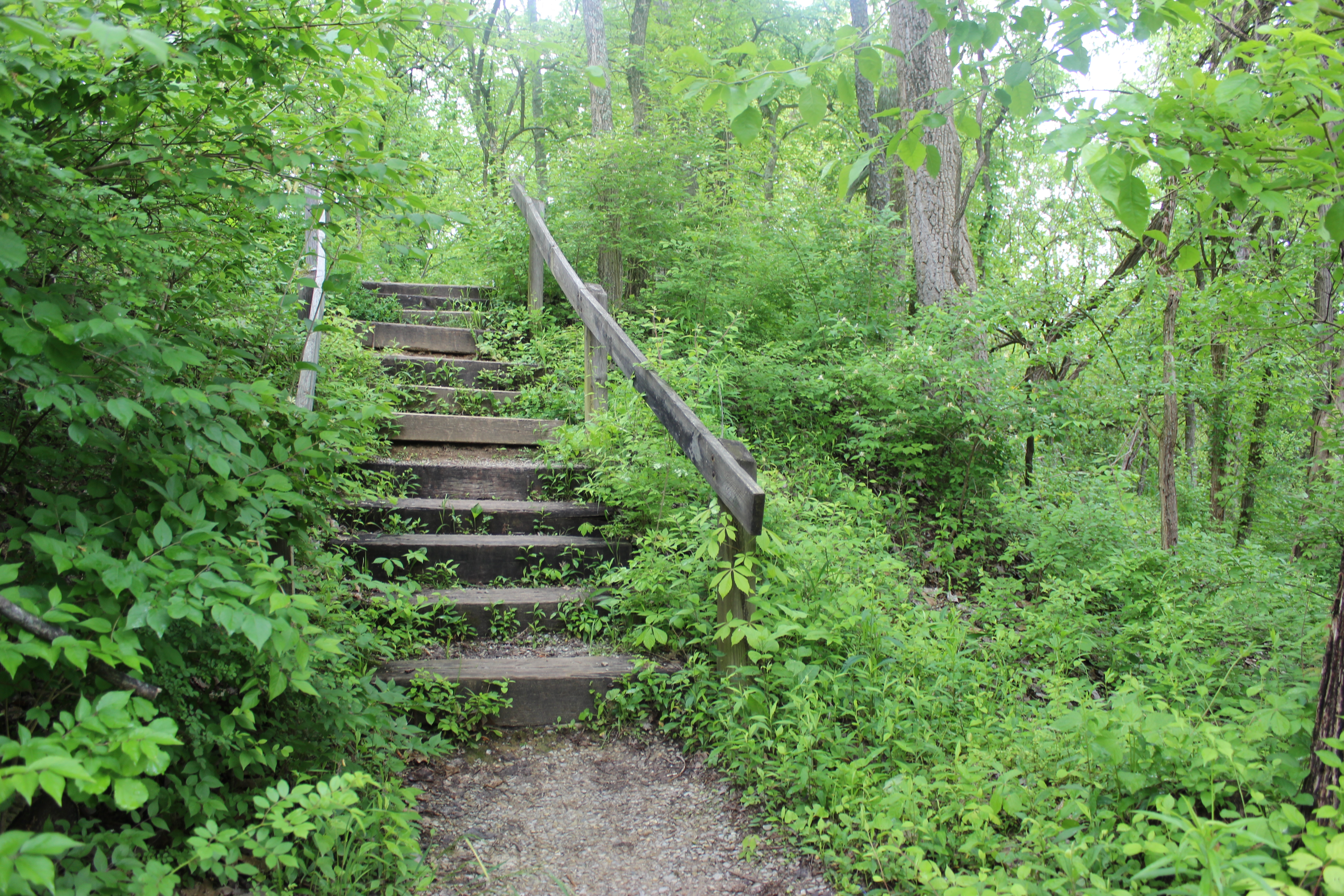 Hedgeapple Trail Woodland Mound