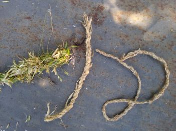 Three ropes made of different plant material sit on a table.