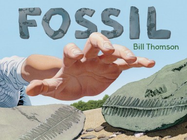 Fossil cover