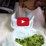 Envasar Lúpulo al Vacío
