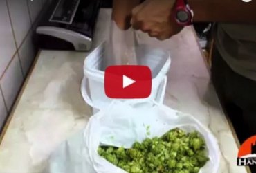 Envasar Lúpulo al Vacío