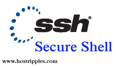 SSH, SSH &#8211; Secure Shell &#8211; What is it ?, Hostripples Web Hosting