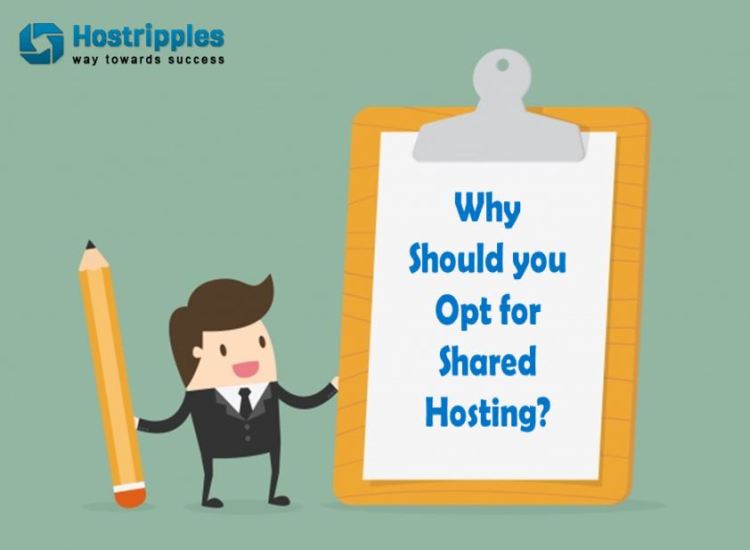 Shared hosting, Why Should you Opt for Shared Hosting?, Hostripples Web Hosting