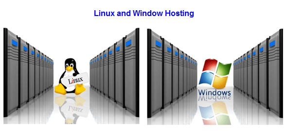 Smart Way For Entrepreneurs to Choose The Right Hosting Type, Hostripples Web Hosting