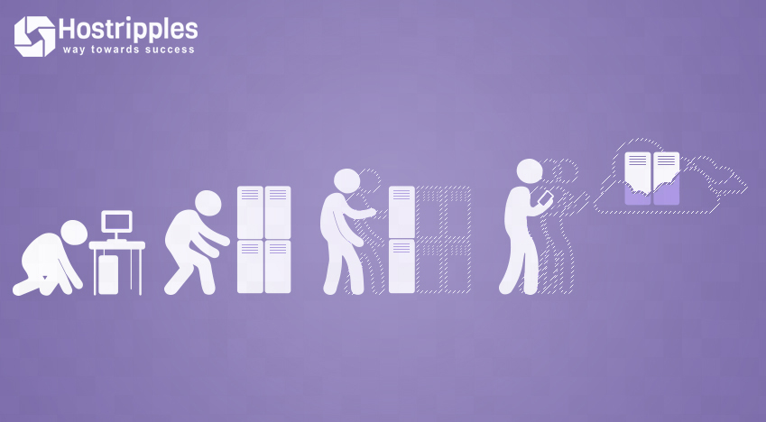 Bandwidth hosting, Everything about Bandwidth Usage, Hostripples Web Hosting