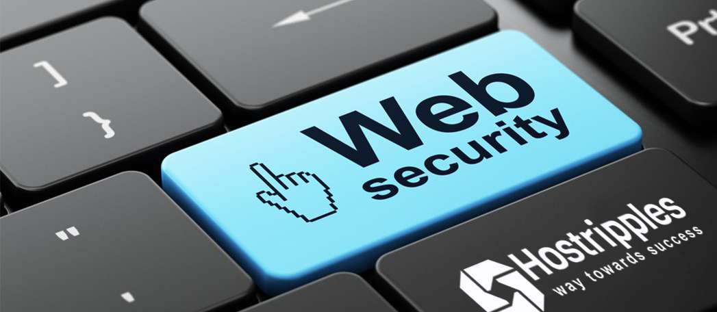 best hosting, How Does Web Hosting Impacts SEO of Your Website?, Hostripples Web Hosting