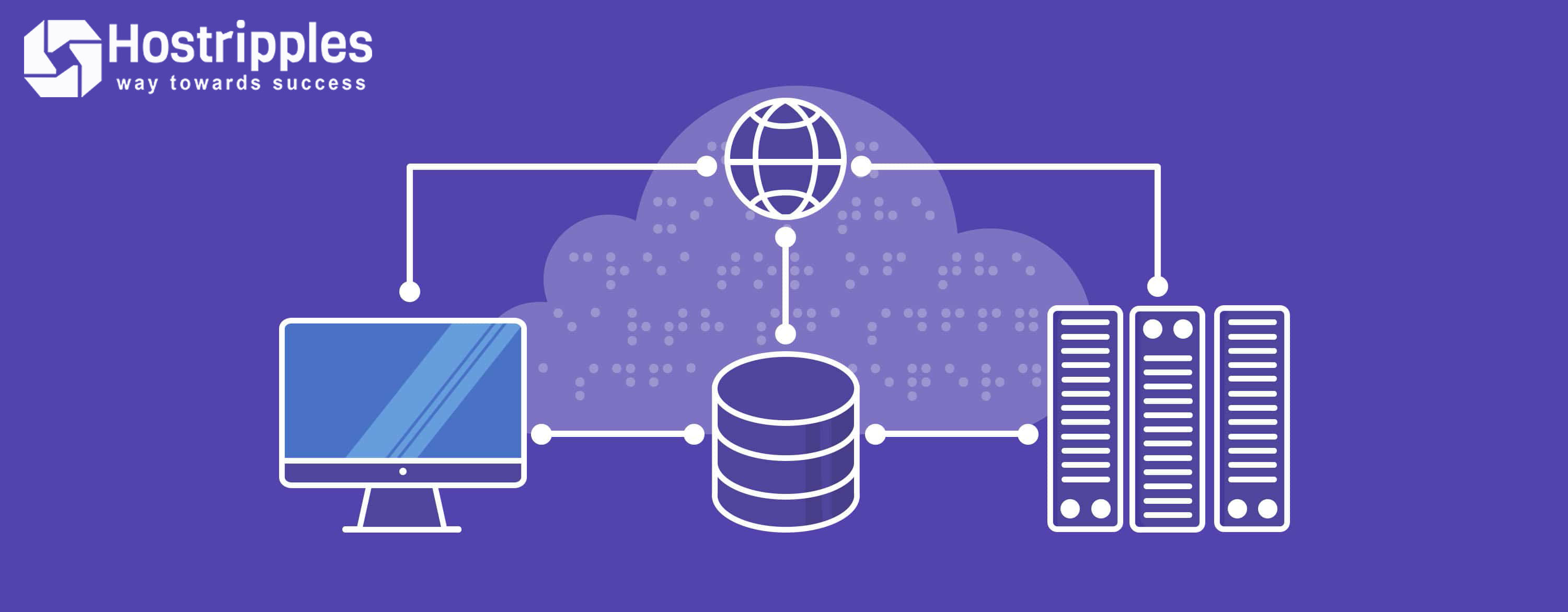 best hosting, How Does Web Hosting Impacts SEO of Your Website?, Hostripples Web Hosting