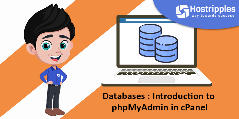 Introduction to MySQL Databases In cPanel, Hostripples Web Hosting