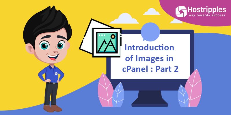 Explanation of cPanel : Part one, Hostripples Web Hosting