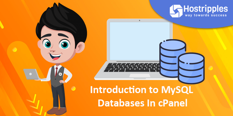 Introduction to MySQL Database Wizard in cPanel, Hostripples Web Hosting