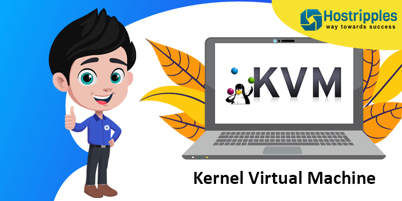 What is CGI?, Hostripples Web Hosting