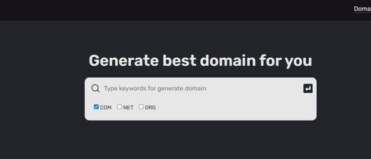 Top 11 Domain Name Generators That You Can Consider For Your Business, Hostripples Web Hosting