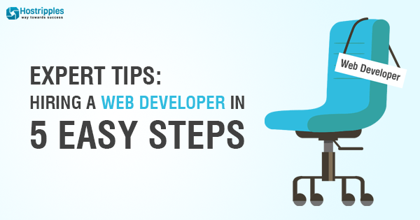 Explained: Difference between Nameservers Vs. DNS, Hostripples Web Hosting