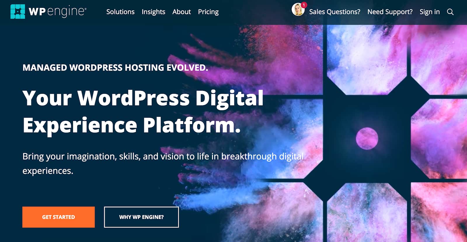 To view your admin email address log into cpanel, under the databases section, click on phpmyadmin. How To Use Wordpress Ultimate Guide To Building A Wordpress Website