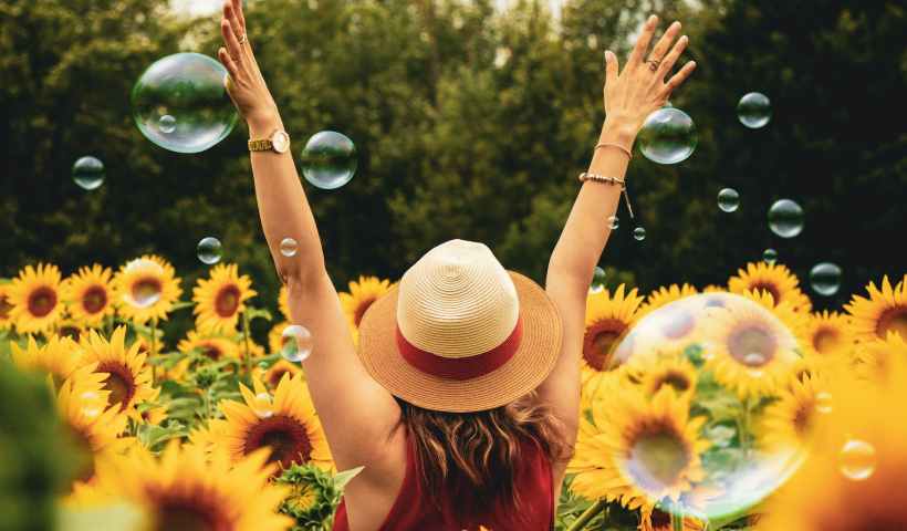 woman surrounded by sunflowers