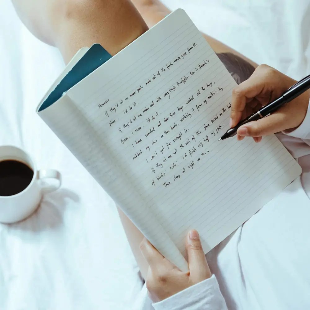 earn from writing