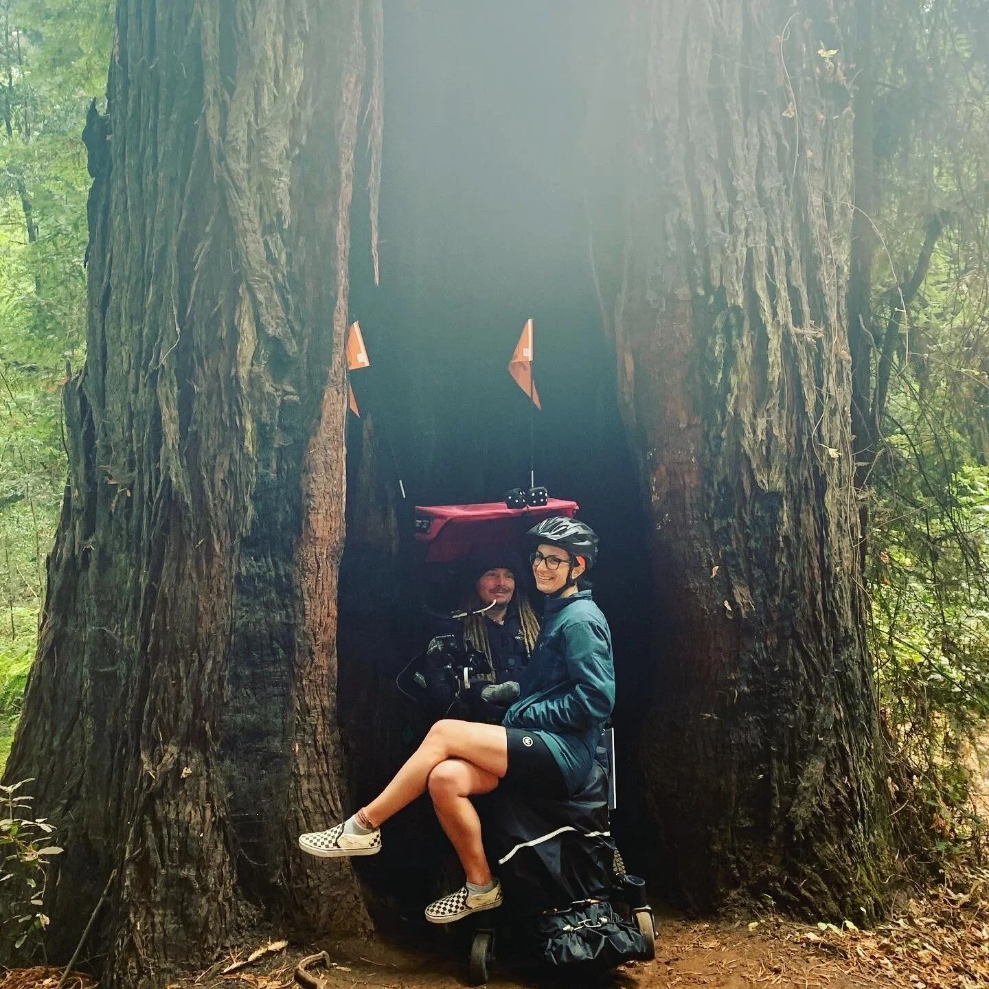  Some of the trees were accessible! 