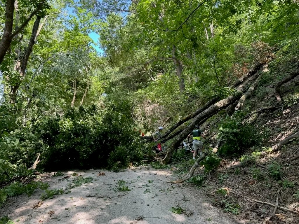  Blocked paths don’t stop us! 