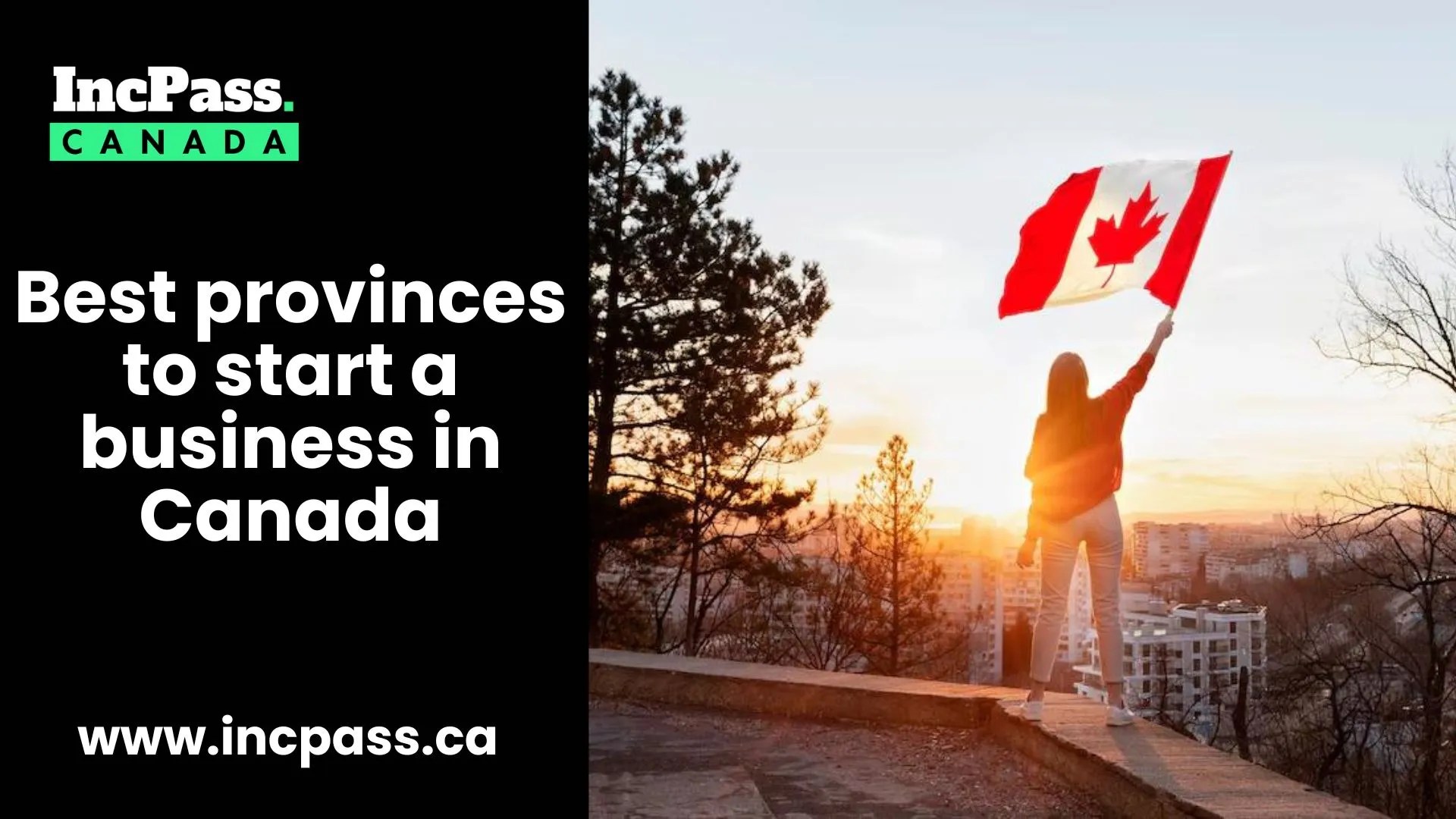 Business number in canada
