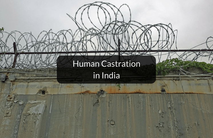 The Castration Effect Wellcome Collection