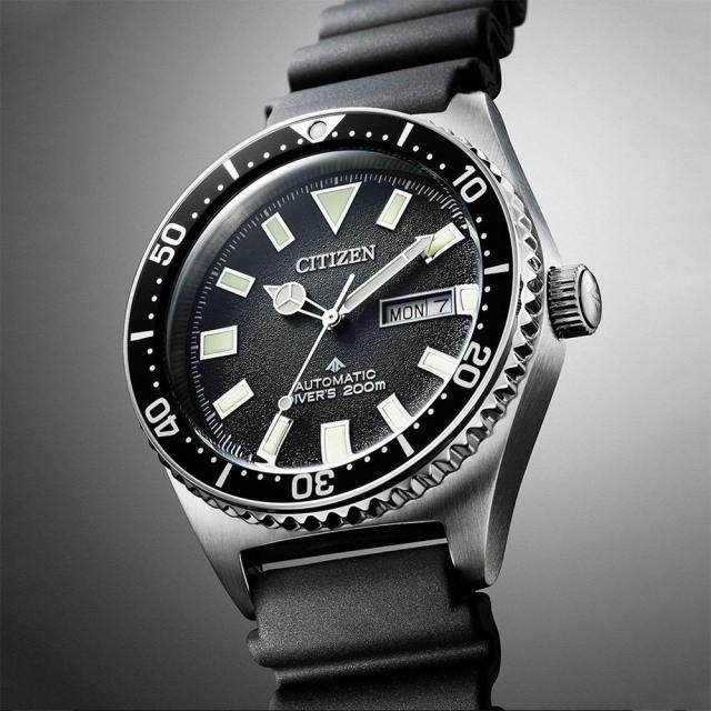 Case Citizen Promaster Diver NY0120-01E