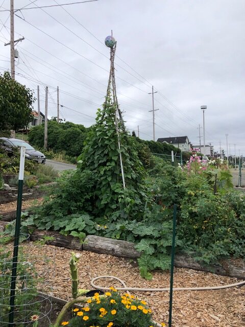 Just Need A Teepee...