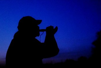 man calling a turkey with a blue midnight sky background