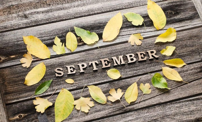 September Feature