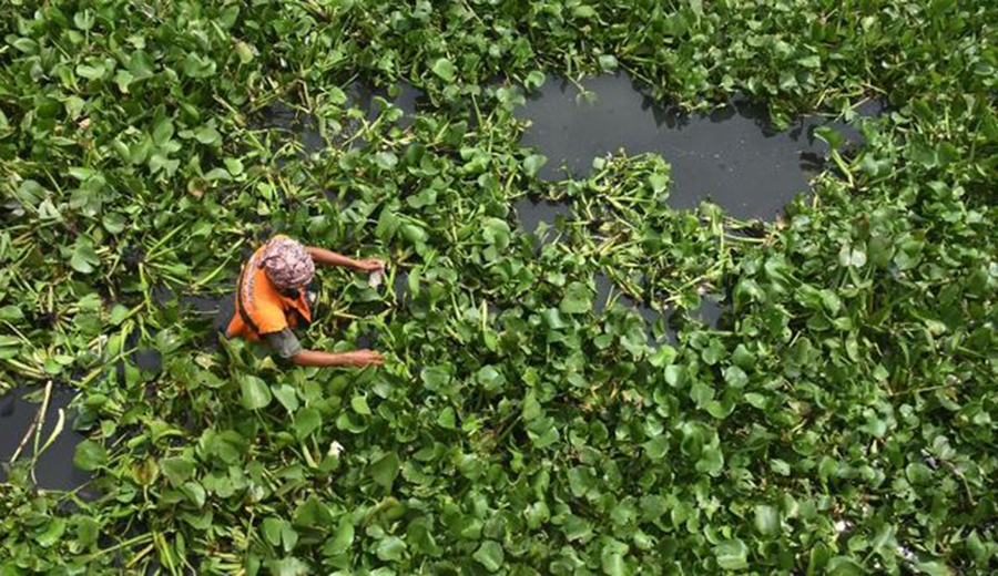 kerajinan enceng gondok populer