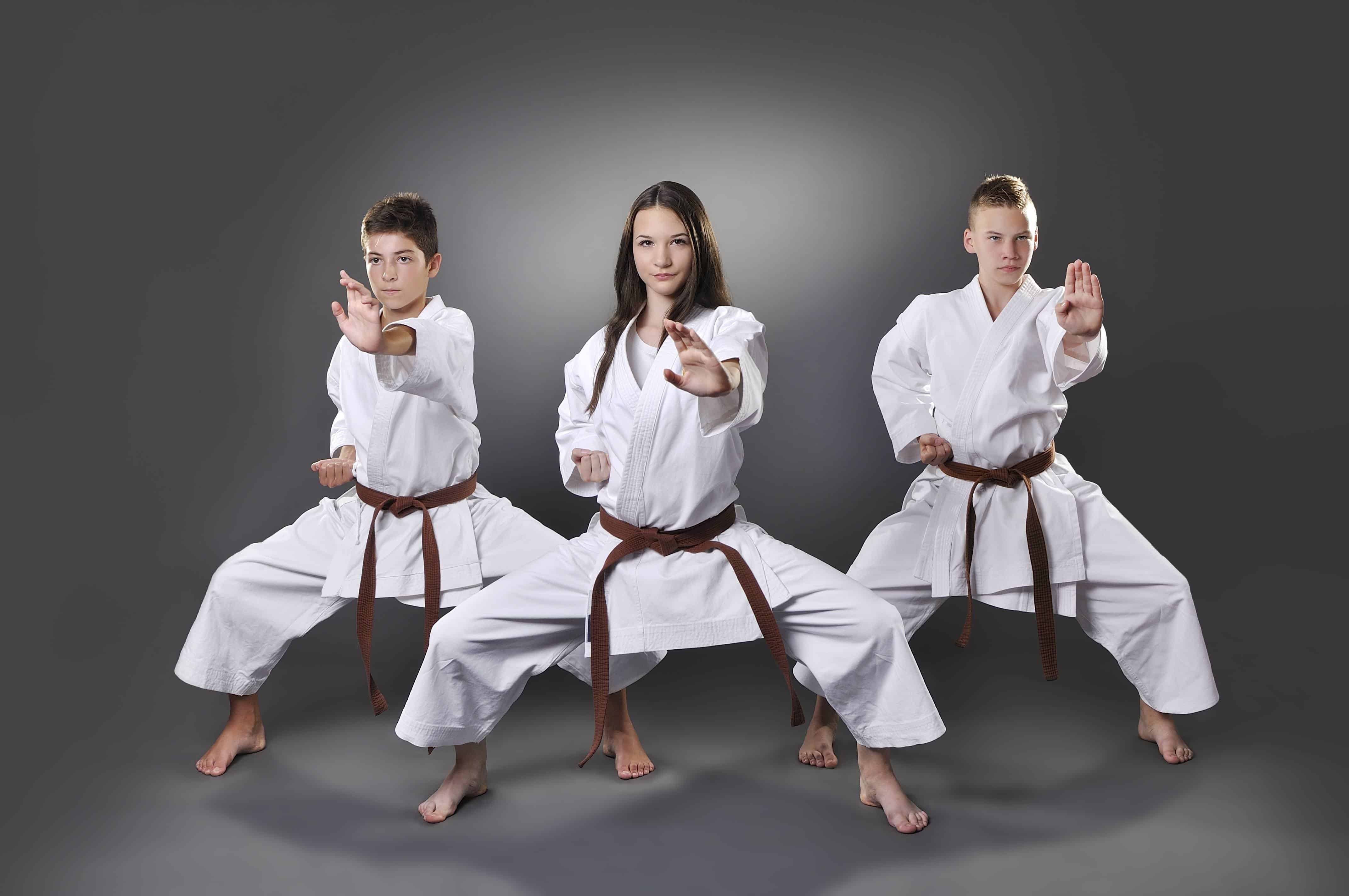 Kyusho Jitsu Stances - Are they like Traditional Stances?