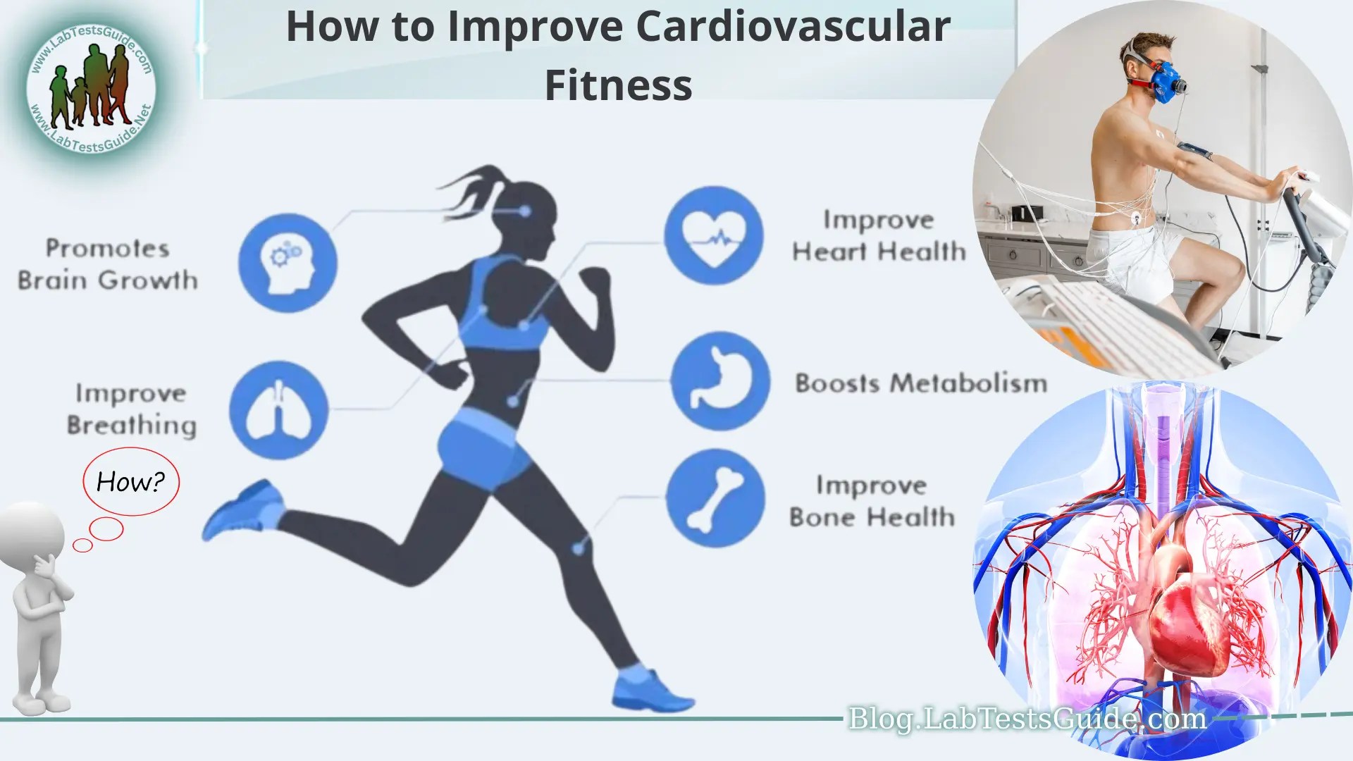 How to improve cardiovascular fitness?