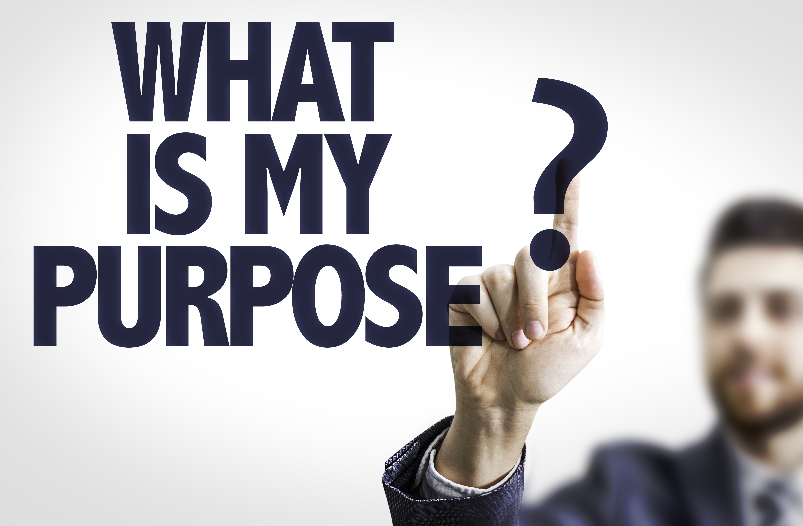 What is your purpose?