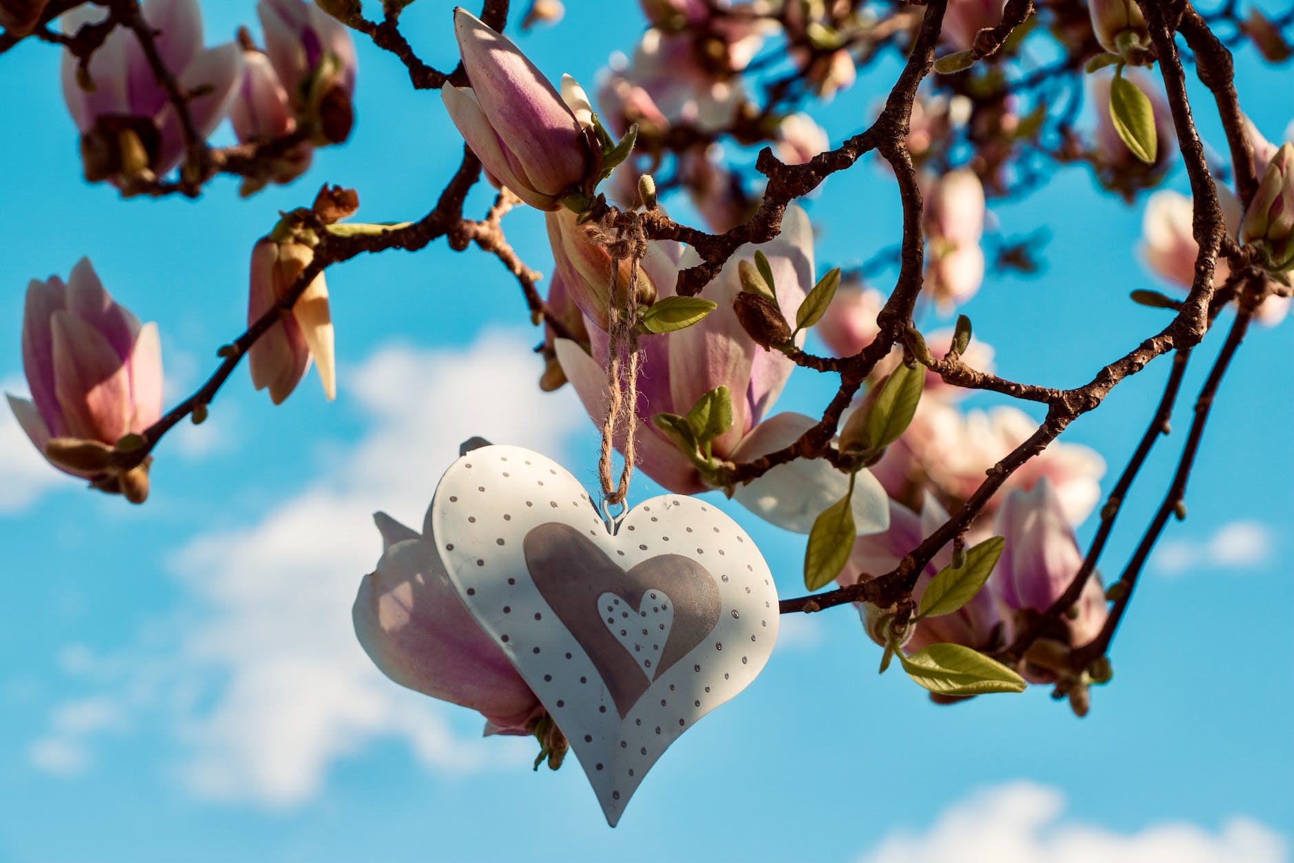 Heart moments and embracing what is. [p3]