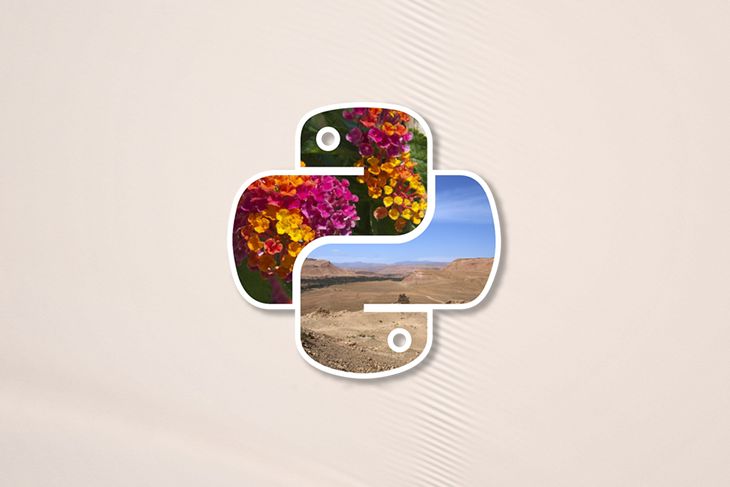 Blurring Image Using Pillow Python Package Digital Image Processing - Premium Colorful Art Gallery - Desktop