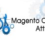 Magento Custom Attributes - Magento Tutorial
