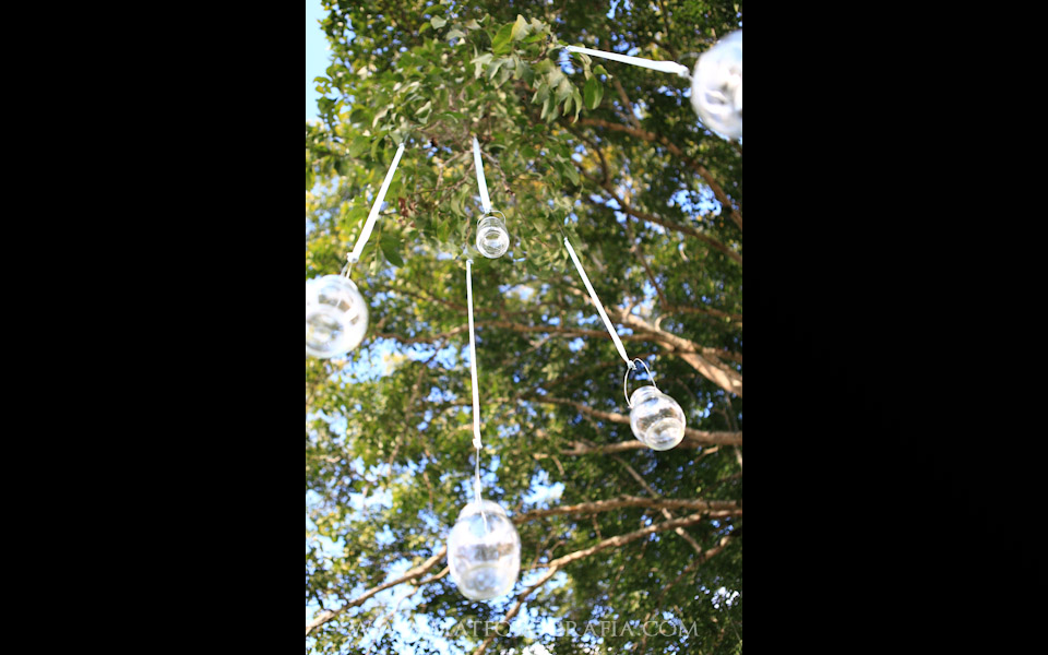 BlogWeb-005