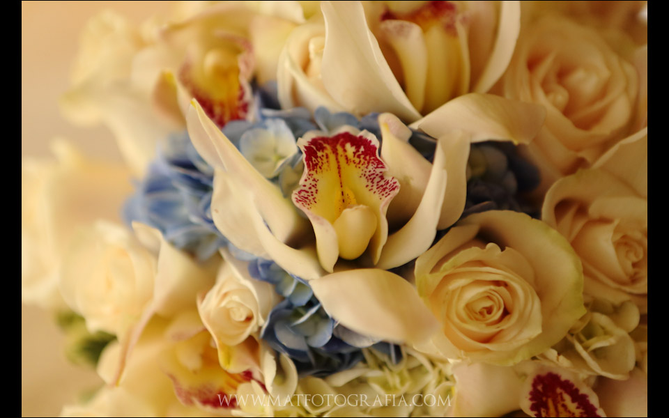 Blogweb-009